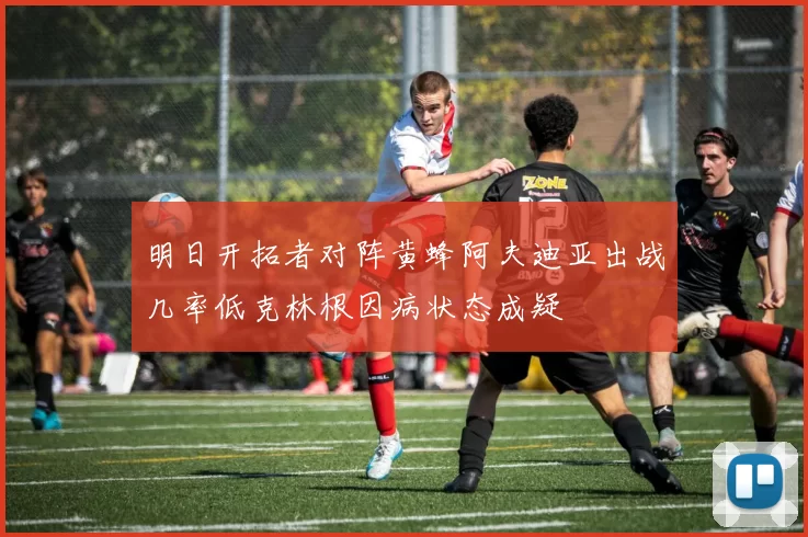 明日开拓者对阵黄蜂阿夫迪亚出战几率低克林根因病状态成疑