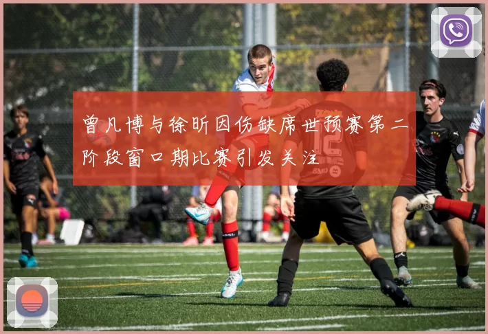 曾凡博与徐昕因伤缺席世预赛第二阶段窗口期比赛引发关注
