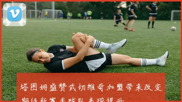 塔图姆盛赞武切维奇加盟带来改变期待新赛季球队表现提升