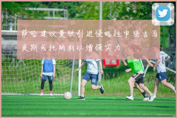 萨哈建议曼联引进侵略性中场吉马良斯或托纳利以增强实力