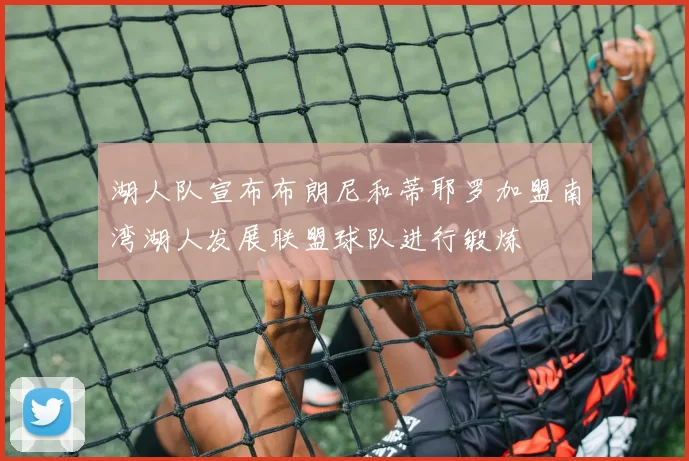 湖人队宣布布朗尼和蒂耶罗加盟南湾湖人发展联盟球队进行锻炼